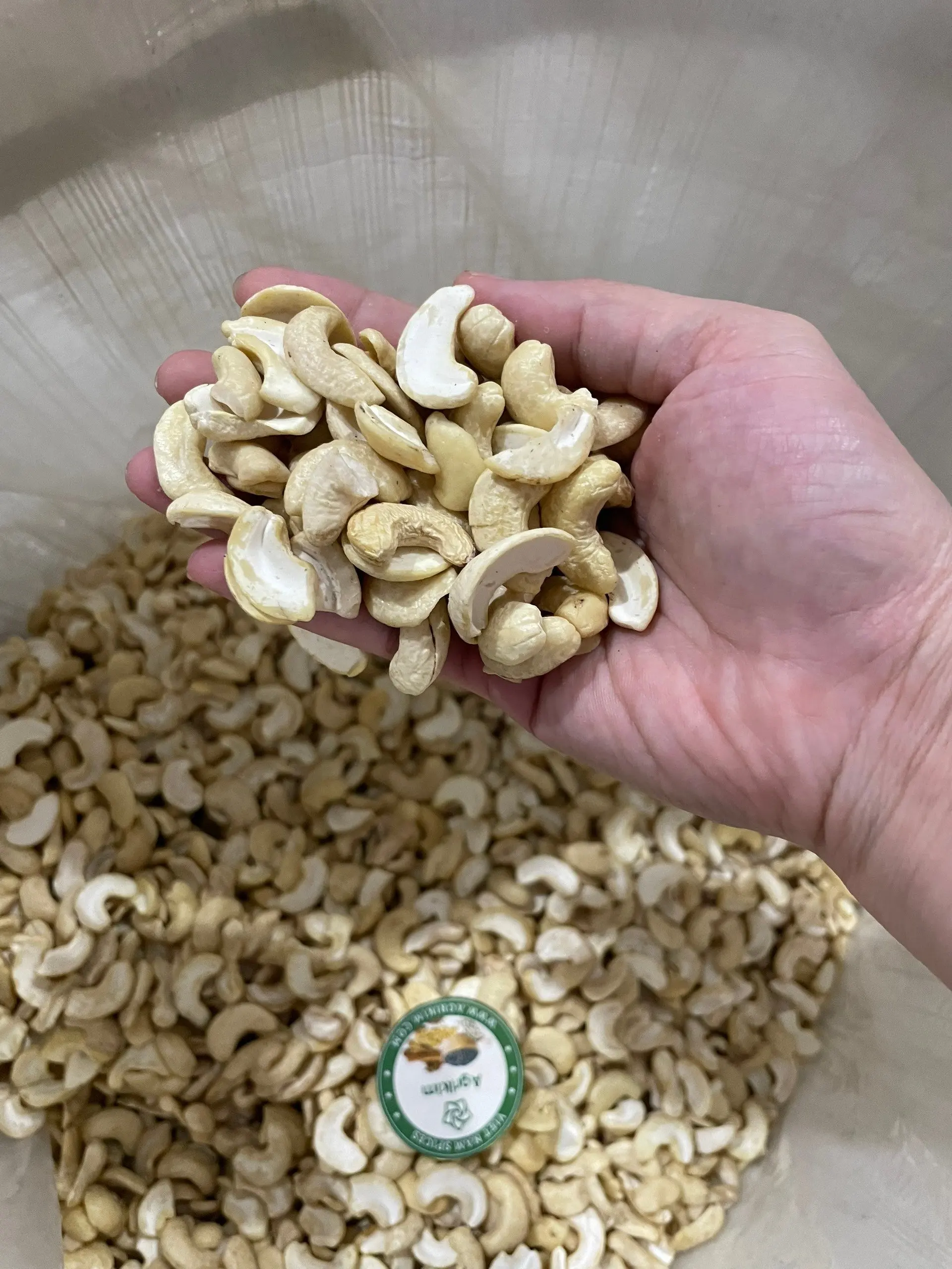 [BUY NOW] HIGH QUALITY CASHEW NUTS CASHEW NUTS RAW CASHEW NUTS MADE IN VIETNAM - Mr. Henry