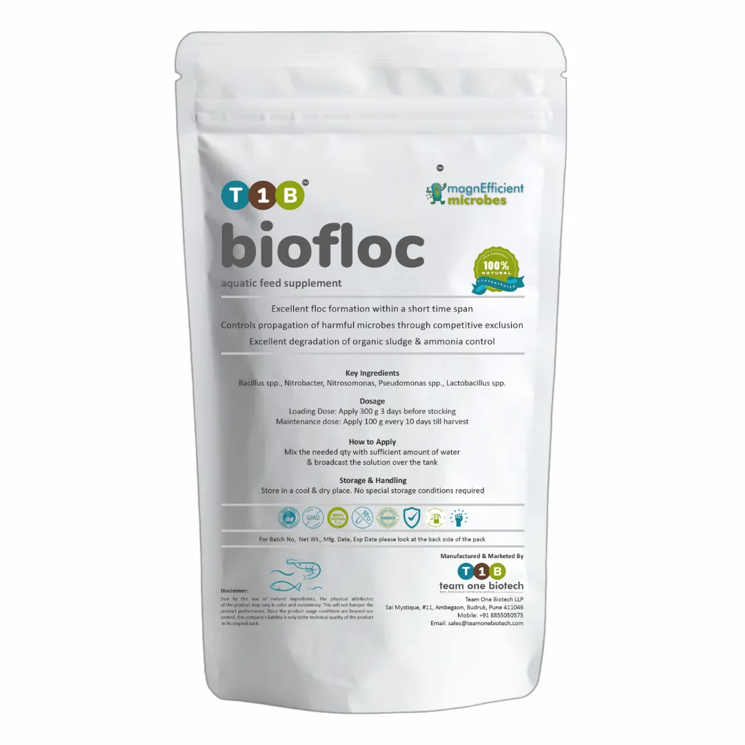 T1B Biofloc пробиотики для экологически чистой практики аквакультуры