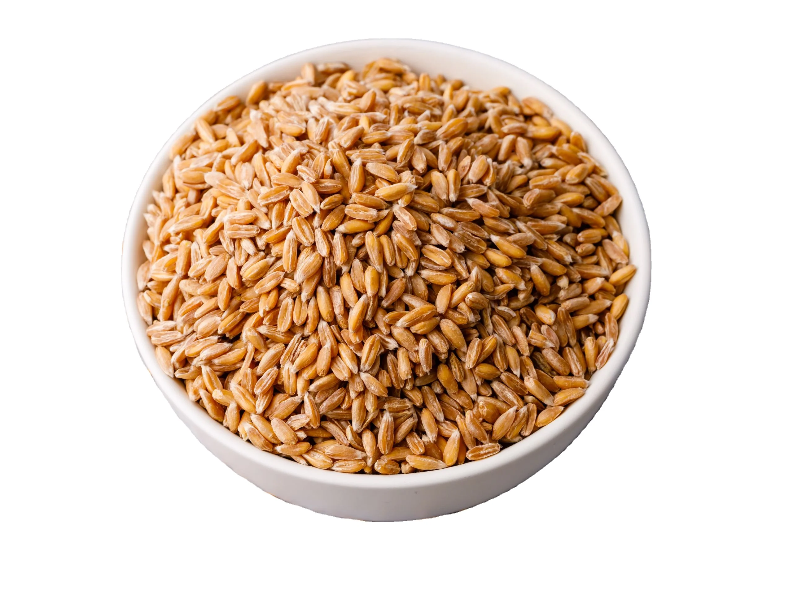 Твердая пшеница с высоким содержанием белка