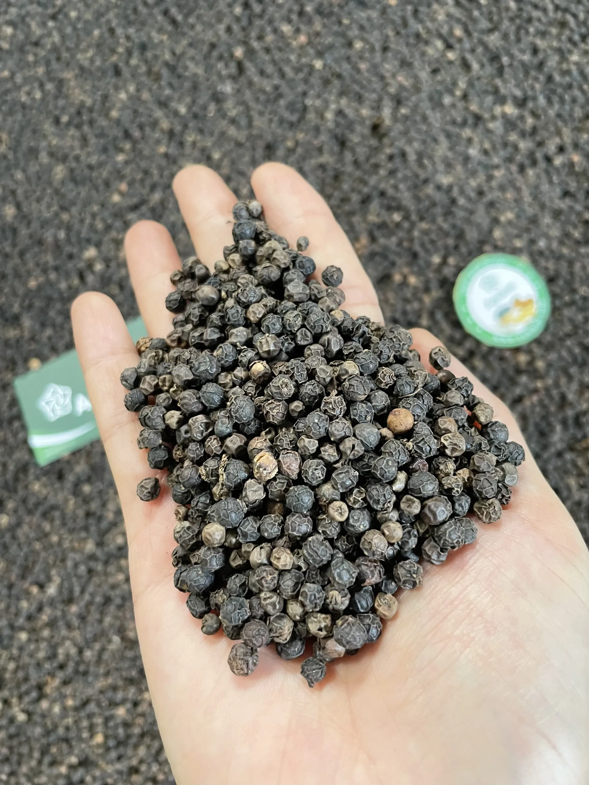 PREMIUM BLACK PEPPER 500, 550, 570, 580G/L GREAT FLAVOR BLACK PEPPER FOR GLOBAL MARKET