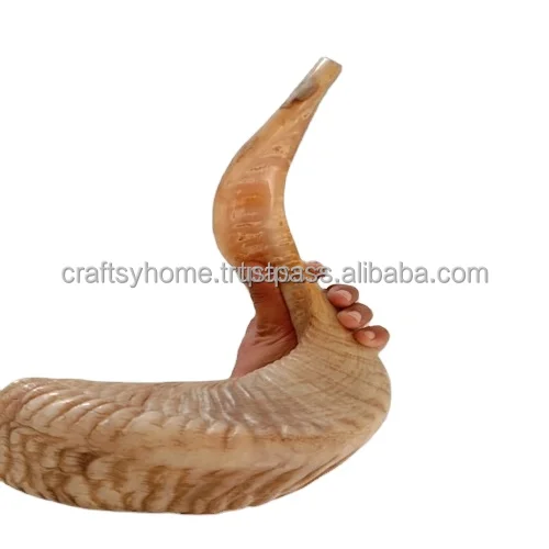 High quality goat horn food and chew and hand made product material buffalo horn goat horn for selling by Craftsy Home