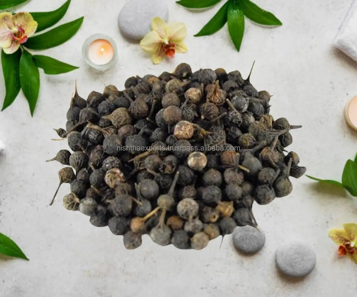 Piper Cubeba Cubeb Seed Shital Chini Seed Java Pepper Kabab Chini Kawab Chini Piper Cubeba Raw Herbs Wholesale Plant Extract