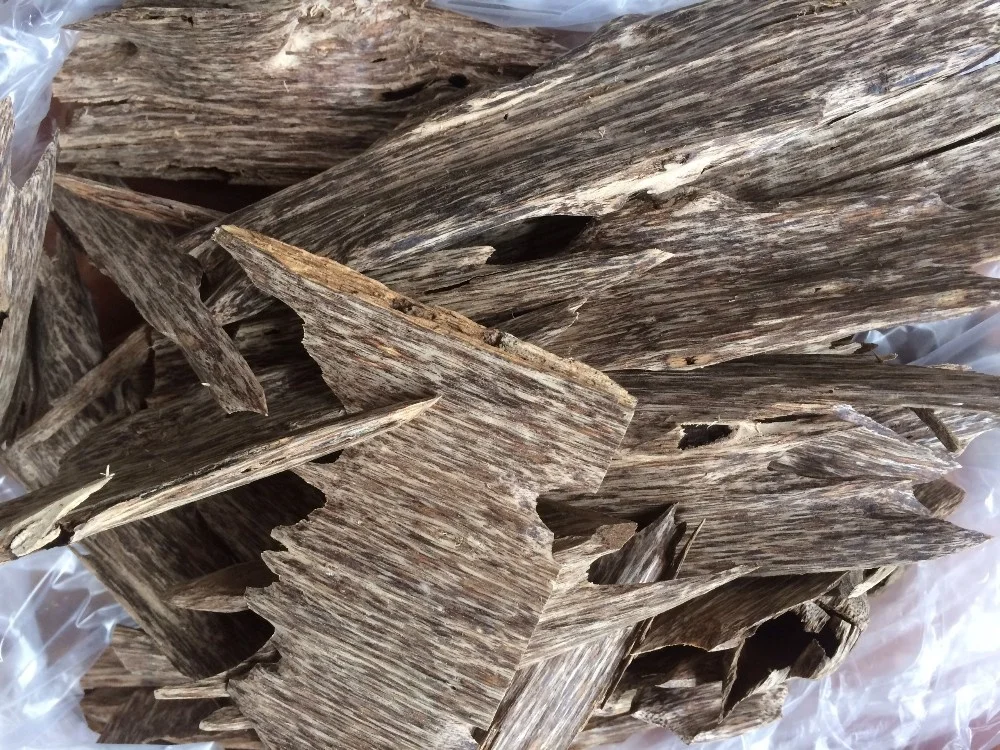 Tram Tue Oud Oudy Wood Chips creating by ant from Vietnam for making Oudh Incense