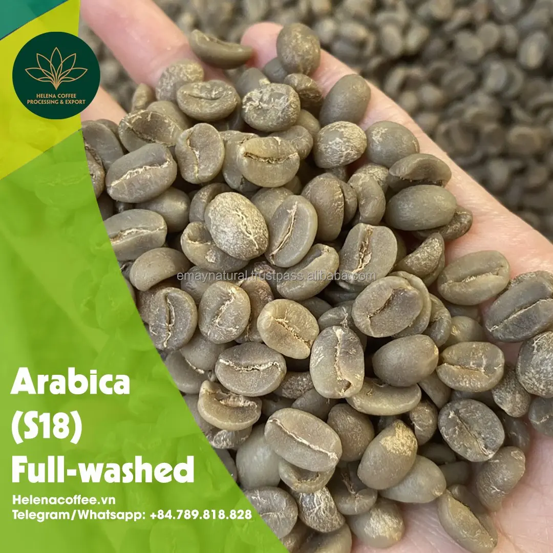 New Choice  Whole Bean Coffee Arabica -Full washed S18 Grade 1 For Sale