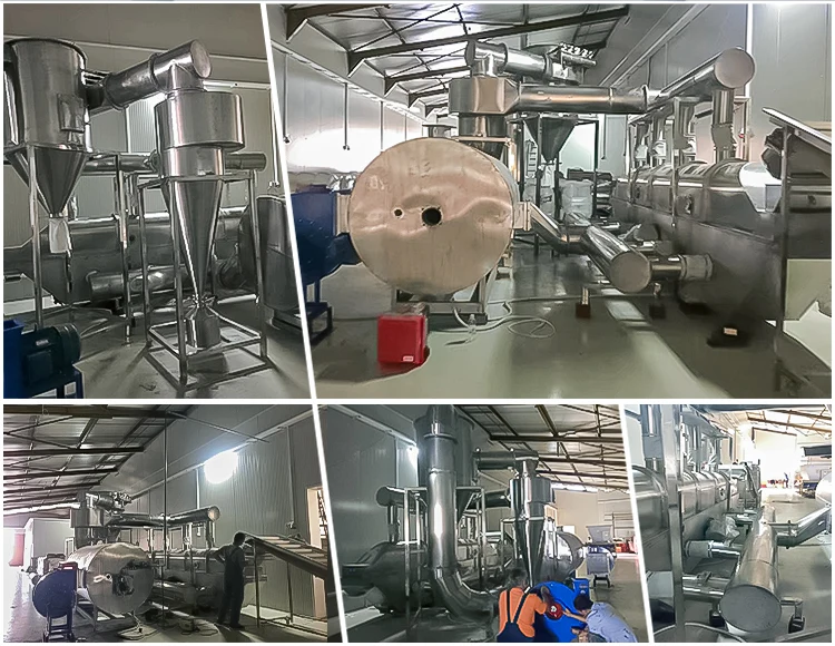 Hot sale Continuous Vibrating Fluid Bed Dryer Machine For Sugar,Food,Salt Drying Machine