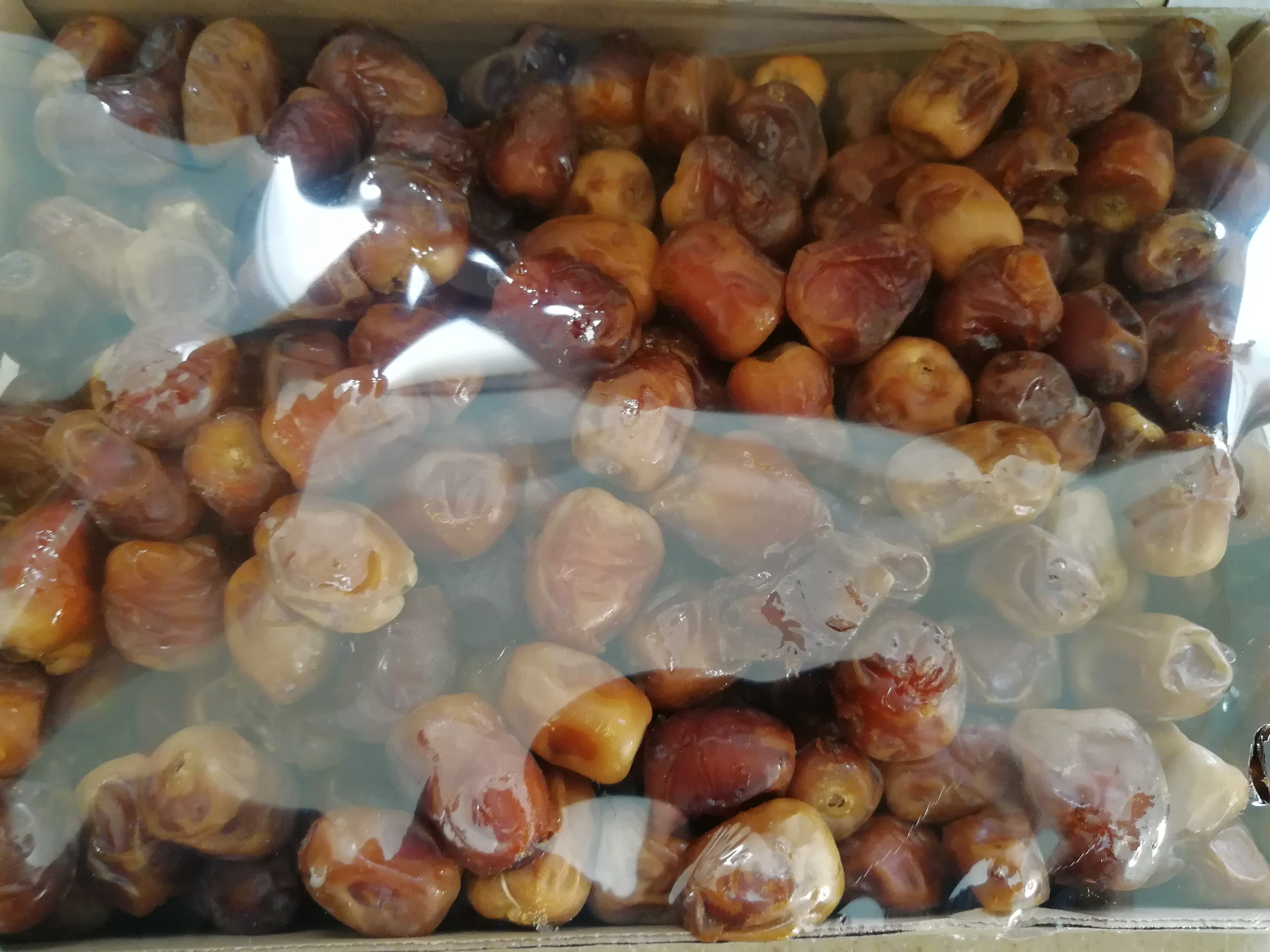 Cheap Sukkari kajur fresh harvest and best price from Saudi Arabia  Hot Sale Bulk Cheap Natural Max Style Packing Packaging Air