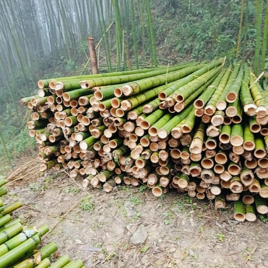 2024 Convenient Bamboo Dinnerware for Grilling and Frying Hot Food Preparation Tools