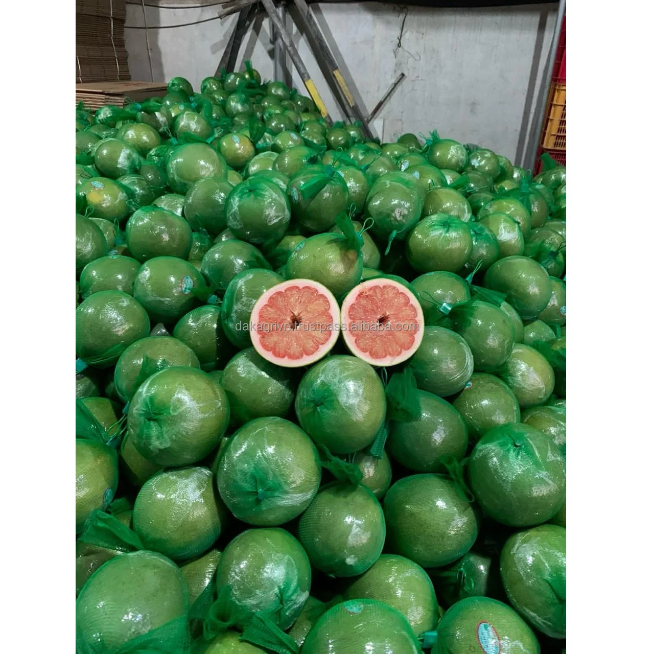 Grapefruit High Quality Cool Storage Vietnamese Pomelo Fruit Best Price OEM 100% Fresh Sour Sweet Taste Green Pomelo