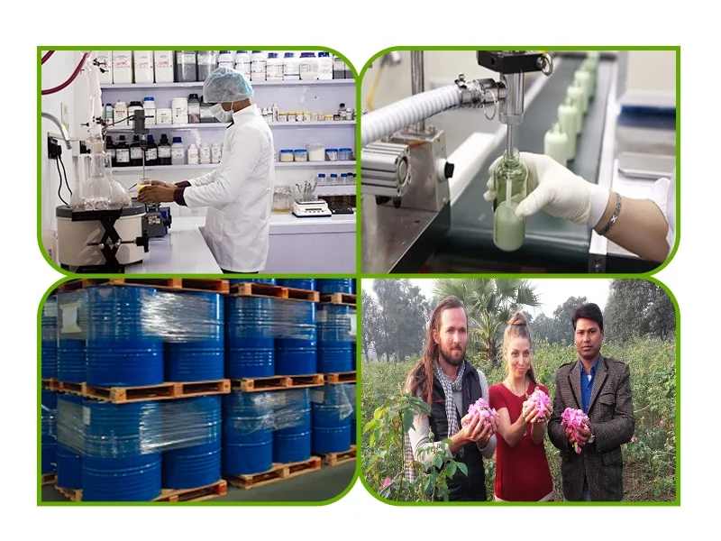 Top Quality Certified Factory Supply Free Sample Lemon Essential Oil Natural Therapeutic Grade