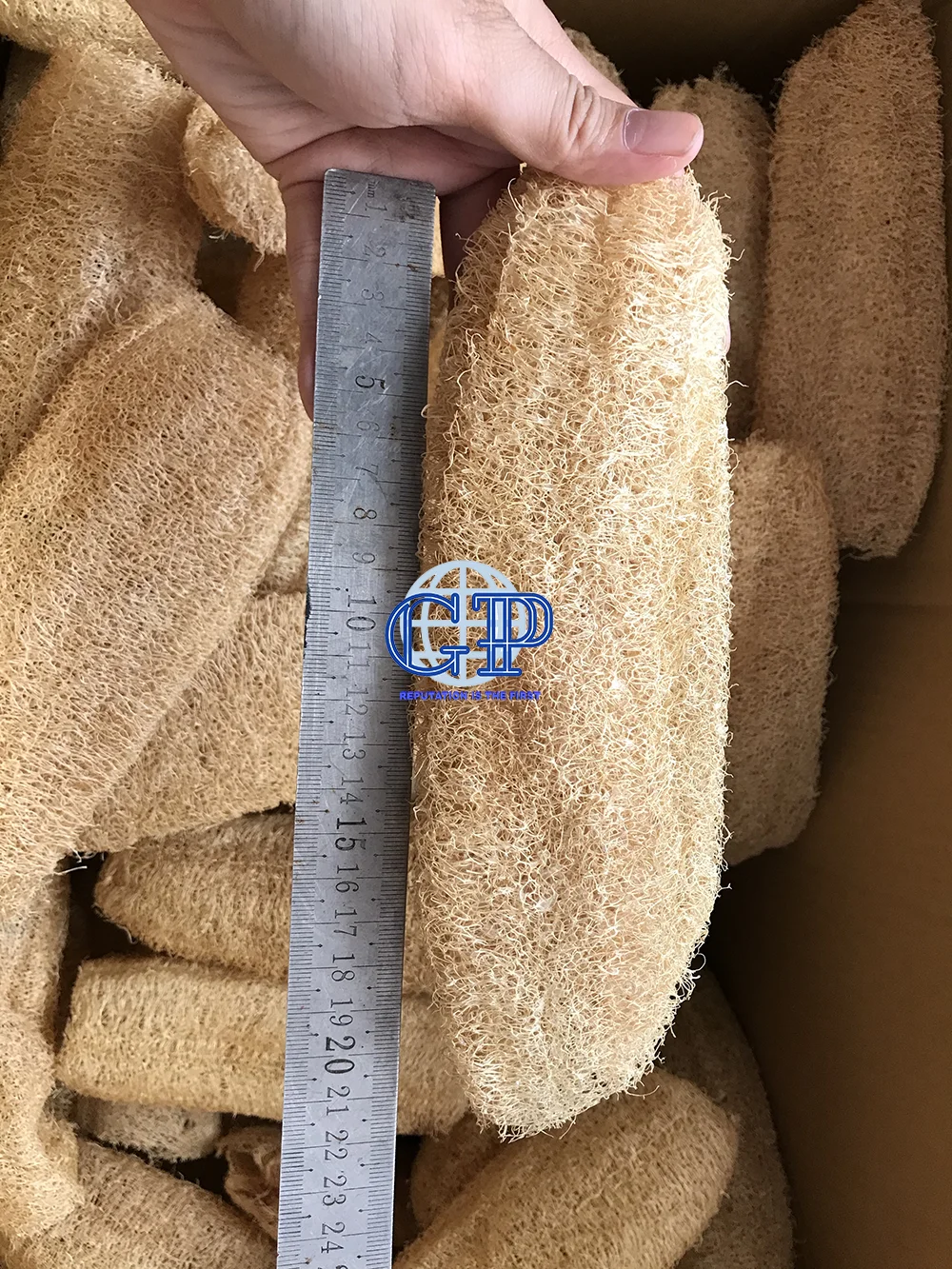 High-Quality Loofah Dish Sponges for body 15- 20cm- 100% Natural Organic- Dried Luffa Scrub Sponge/Compressed Loofah