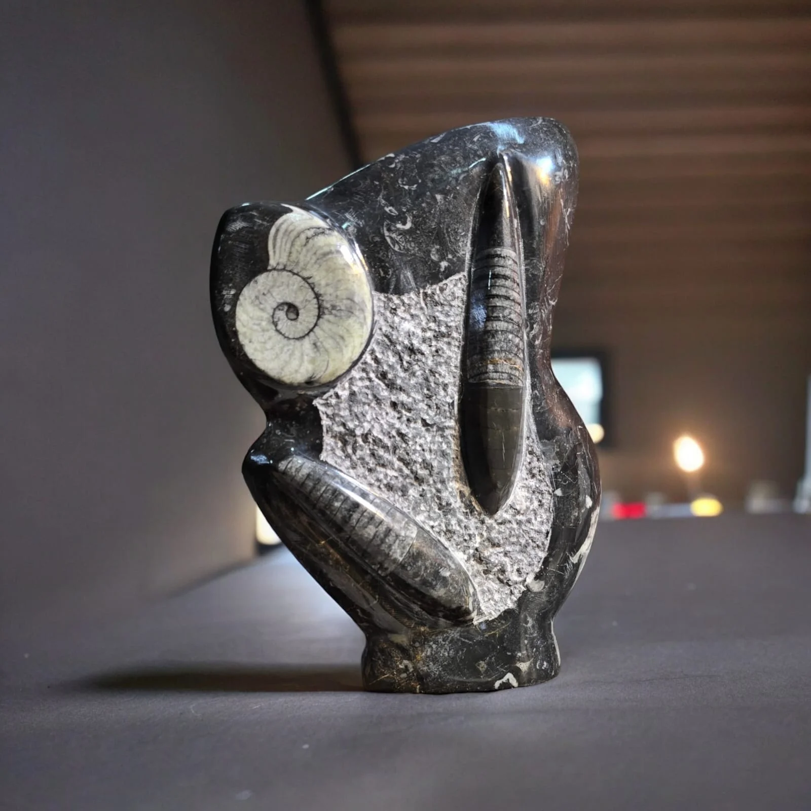 Wholesale natural high quality Orthoceras Fossil Specimen In Matrix Ammonite Plaque Fossil Squid Plate standing piece