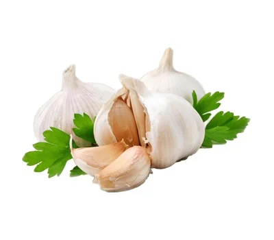 Hot Selling Private Label Garlic Extract Powder Affordable Price Fresh Air Dried Garlic Garlic Powder For sale