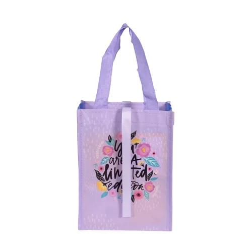 Cheap price Shopping PPNW box bag with matte lamination