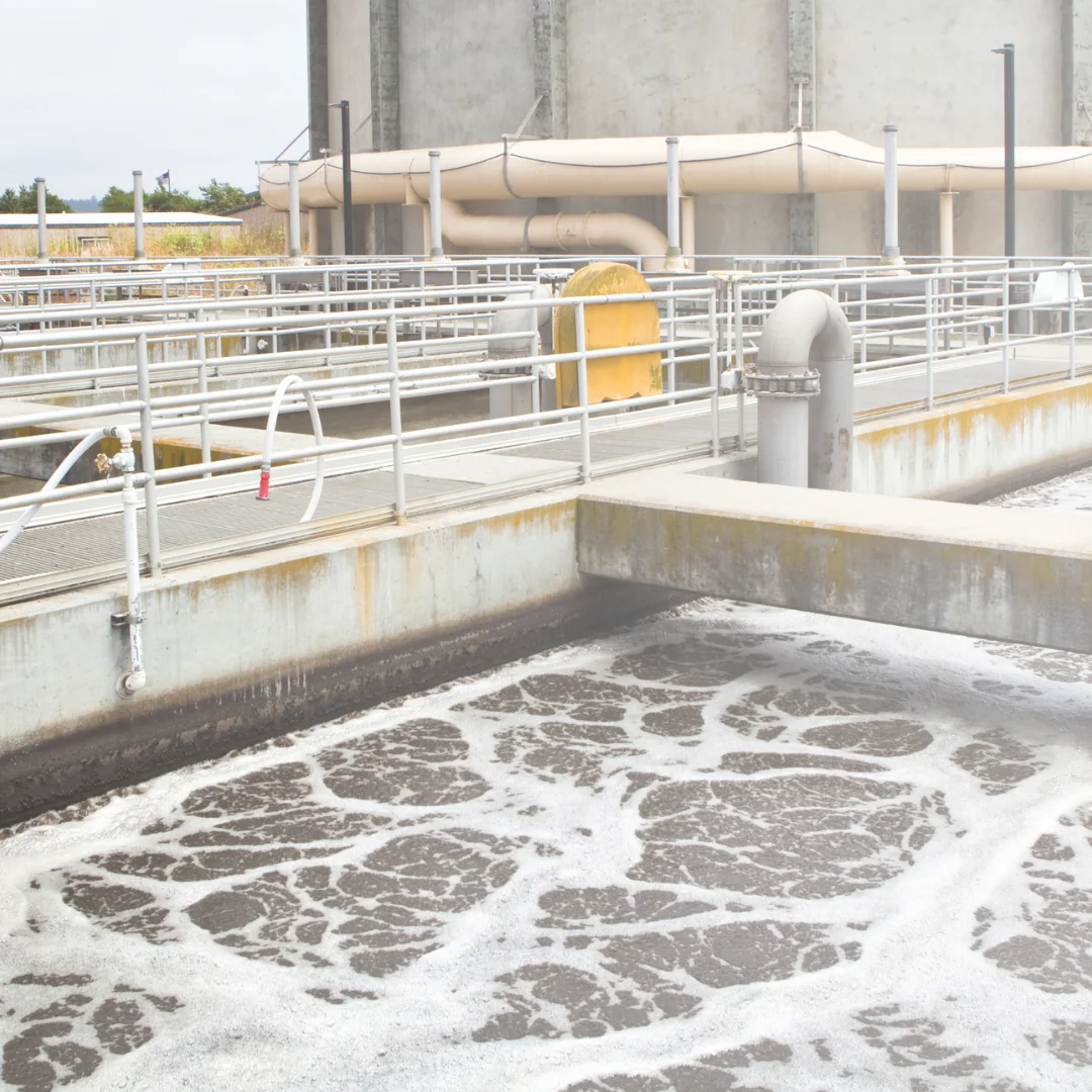 Eco-Friendly Wastewater Treatment Solution for STPs