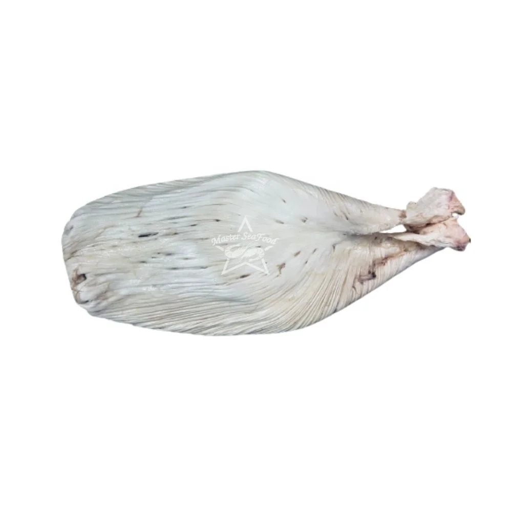 Black Drum Fish Maw Premium Quality Wholesale Sun Dried Master Seafood Product Best Quality Country of Origin Bangladesh