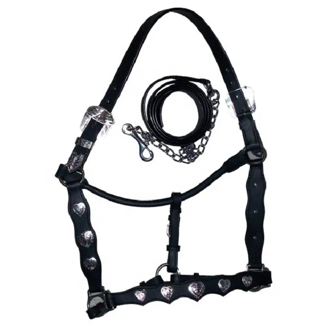 Leather Halter with Chain Lead.