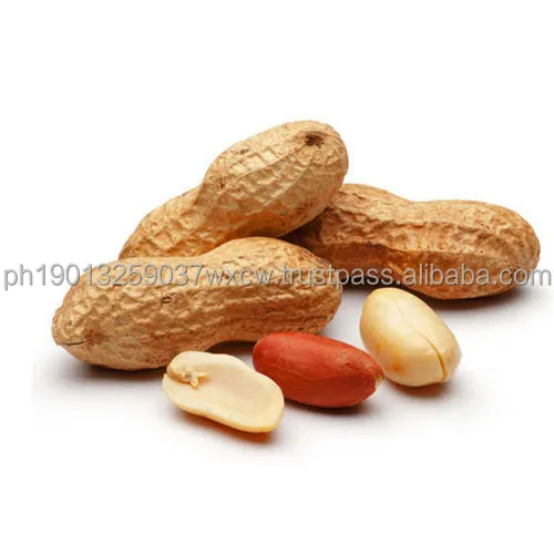 organic-groundnut-500x500.jpg
