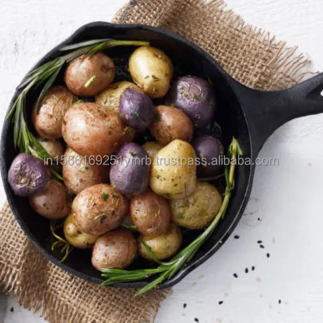 Hot sell for the 100g and up fresh new crop potato from the factory price