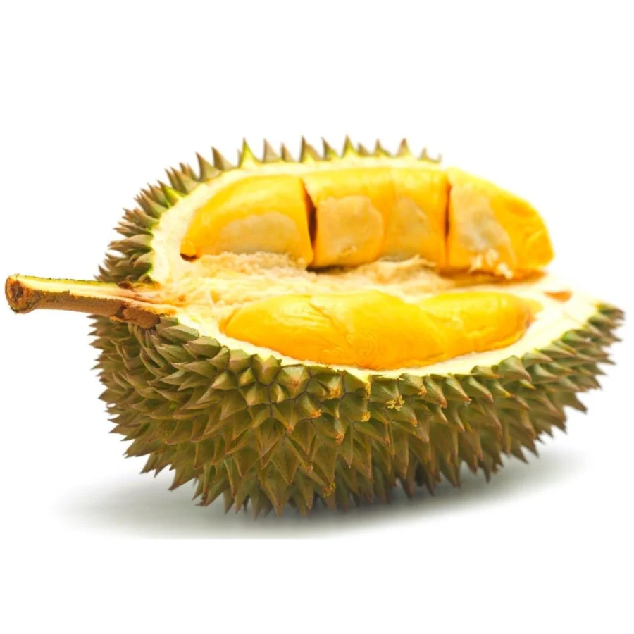 [New Product 2023] Fresh Durian Vietnam - New Arrival With High Quality Wholesale Best Price