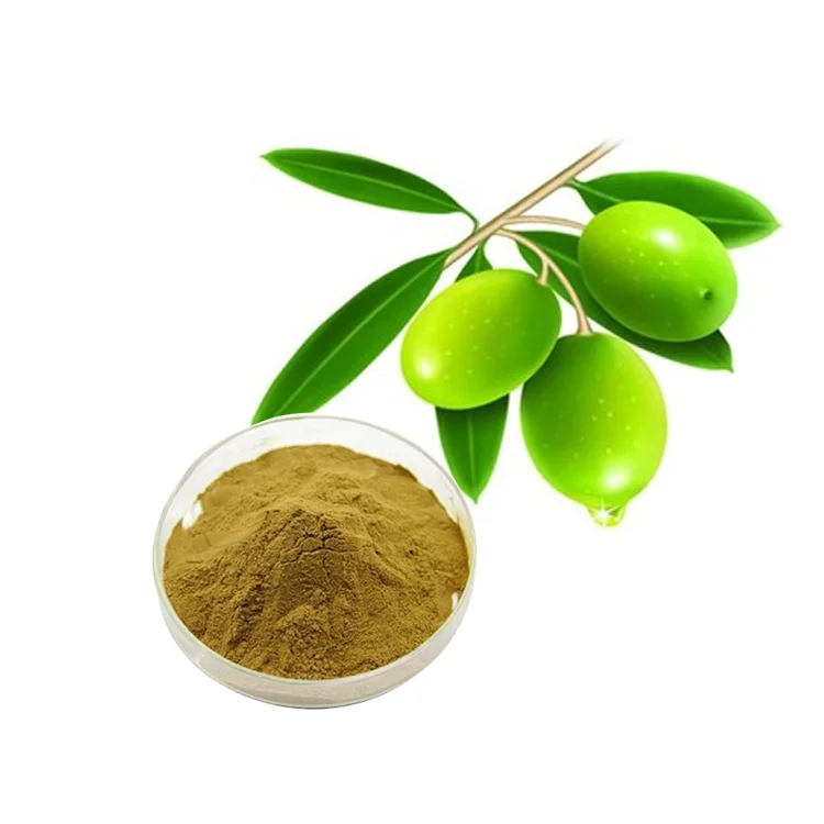 High Quality Pure Natural Hydroxytyrosol 5% 10% Oleuropein 20% 40% Olive Leaf Extract