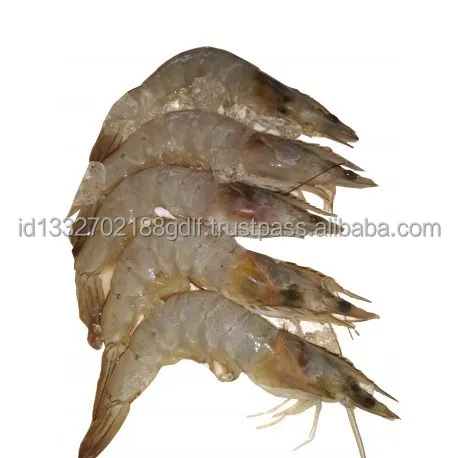 100% Export Oriented High Quality Wholesale Price White Shrimp/Fresh Water Prawn/Frozen Shrimp From Indonesia