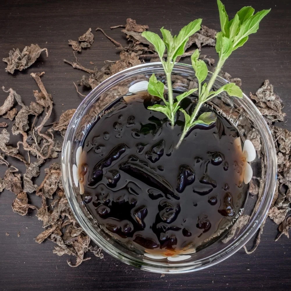 OEM/ODM acceptable 25kg packing from Vietnam High Technology Producing Mesona Plant Extract Liquid herbal