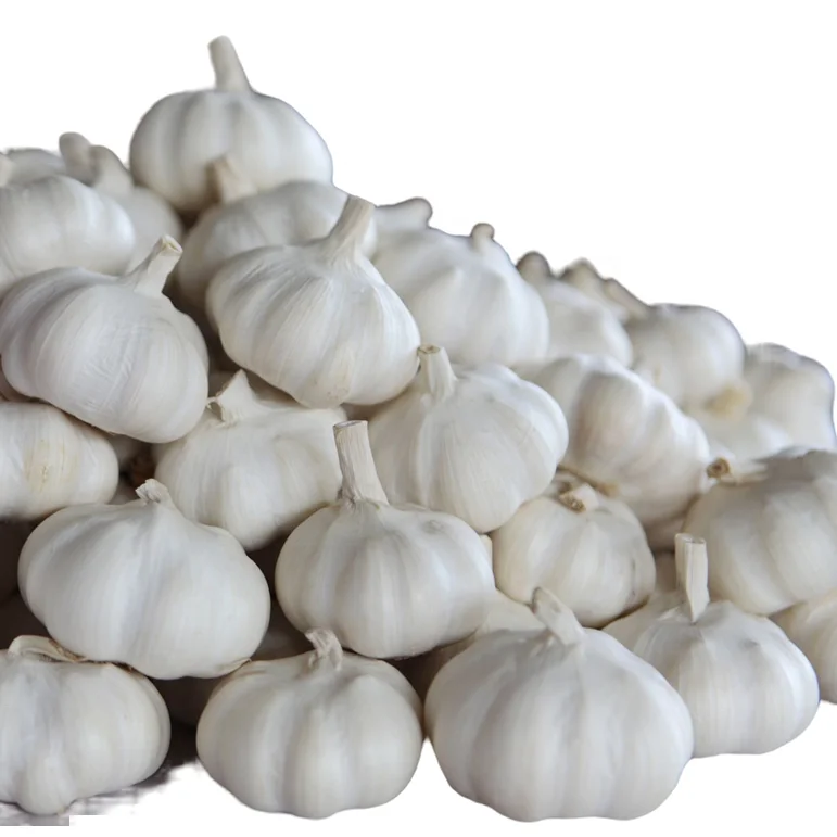 Wholesale New Crop Fresh Garlic Low Price of Pure White As Food Can Be Vegetables Seeds