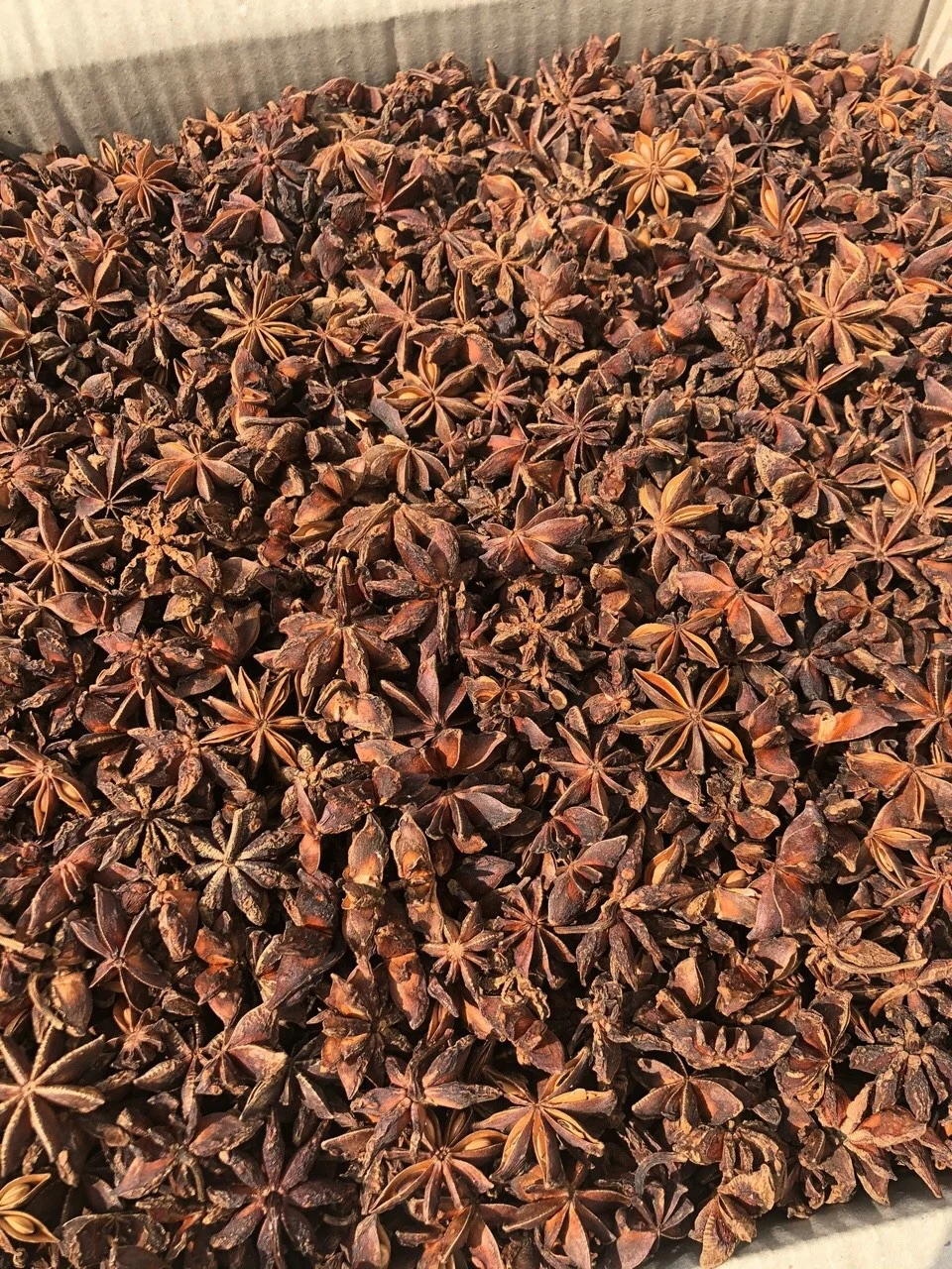 Китайский органический анис (без