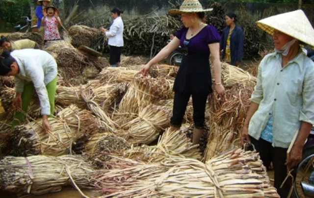 Rectangular Shape Water Hyacinth Baskets Rice nut seagrass woven iron frame with rope handle HO-20025 rounded corners basket