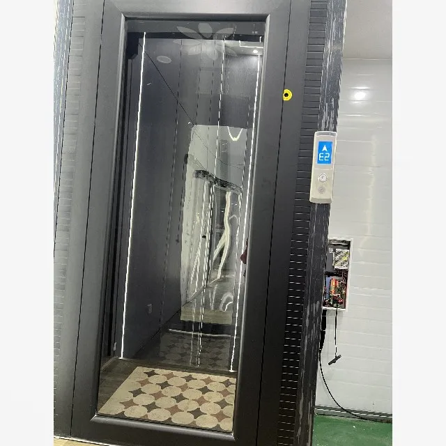 450 KG 630 KG Small Elevators For Home Lift Small House Elevator Lifts