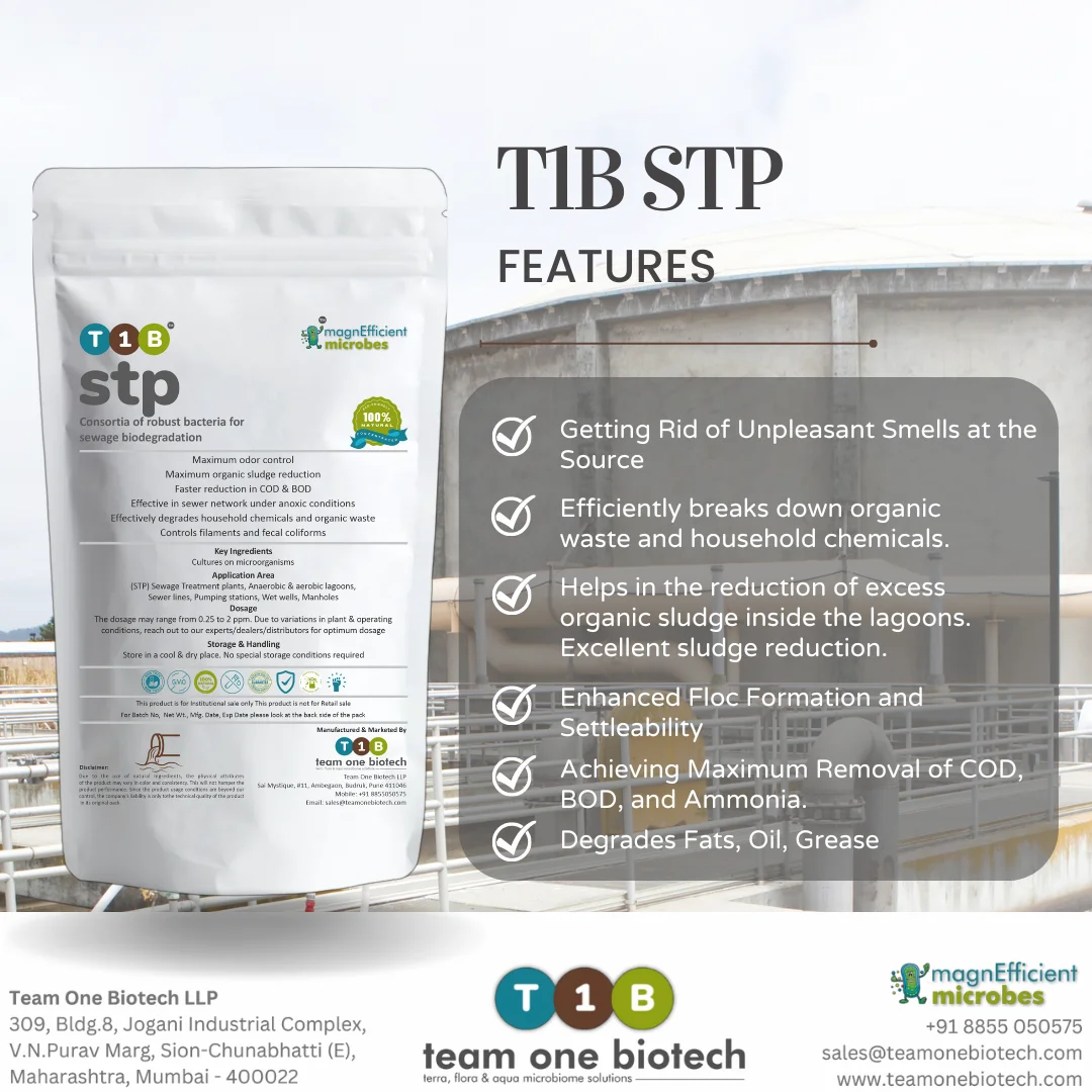 Eco-Friendly Wastewater Treatment Solution for STPs