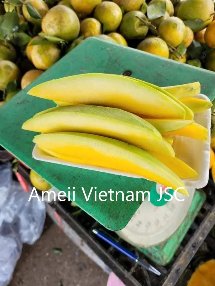 Best Quality Green Mango From Viet Nam
