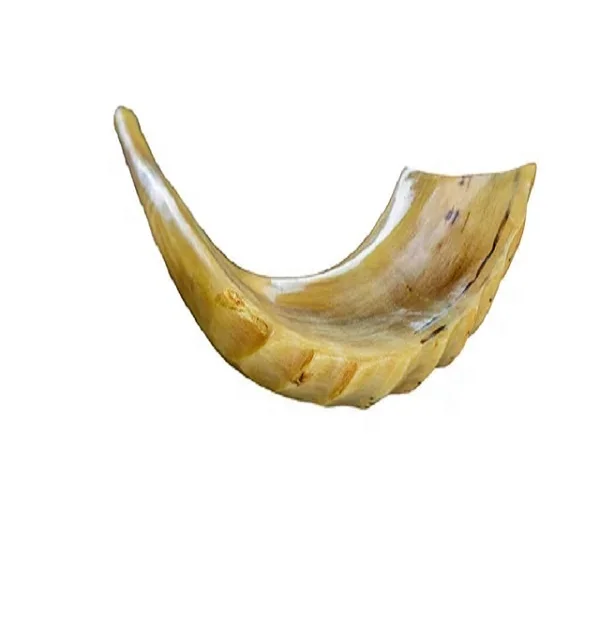 Natural Sheep Horn Shofar Full Finish for Home Decoration Jewish Holiday Shofar Horn Anatomy Wholesale