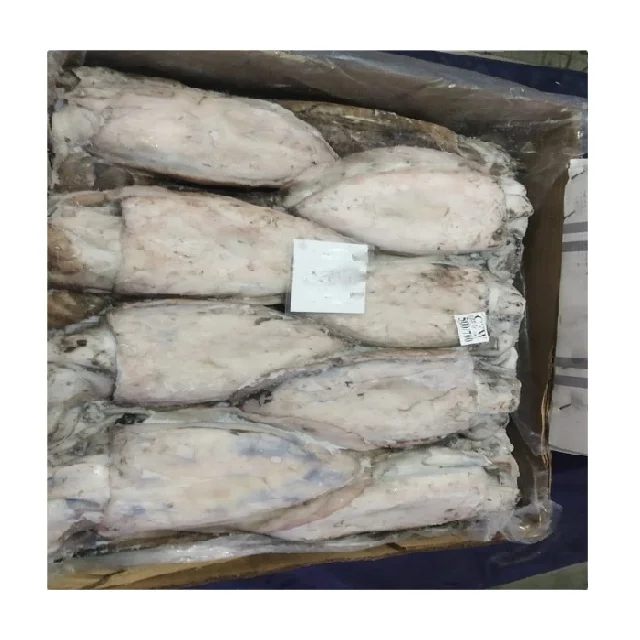 Высокое качество Замороженные каракатицы Фиш весь из Индии