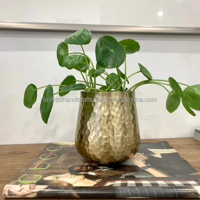 Hot-Selling Round Gold Metal Flower Pot Indoor Floor Table Flower Planter Display Plant Pots With Stand from India