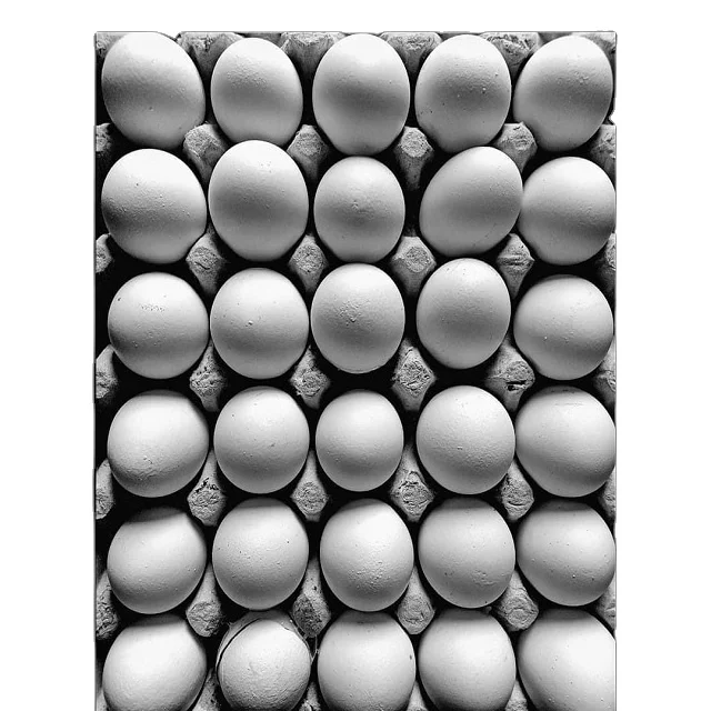 Органические свежие белые куриные столовые яйца целая продажа от королевской фермы известного Кхана для использования в пищевых продуктах