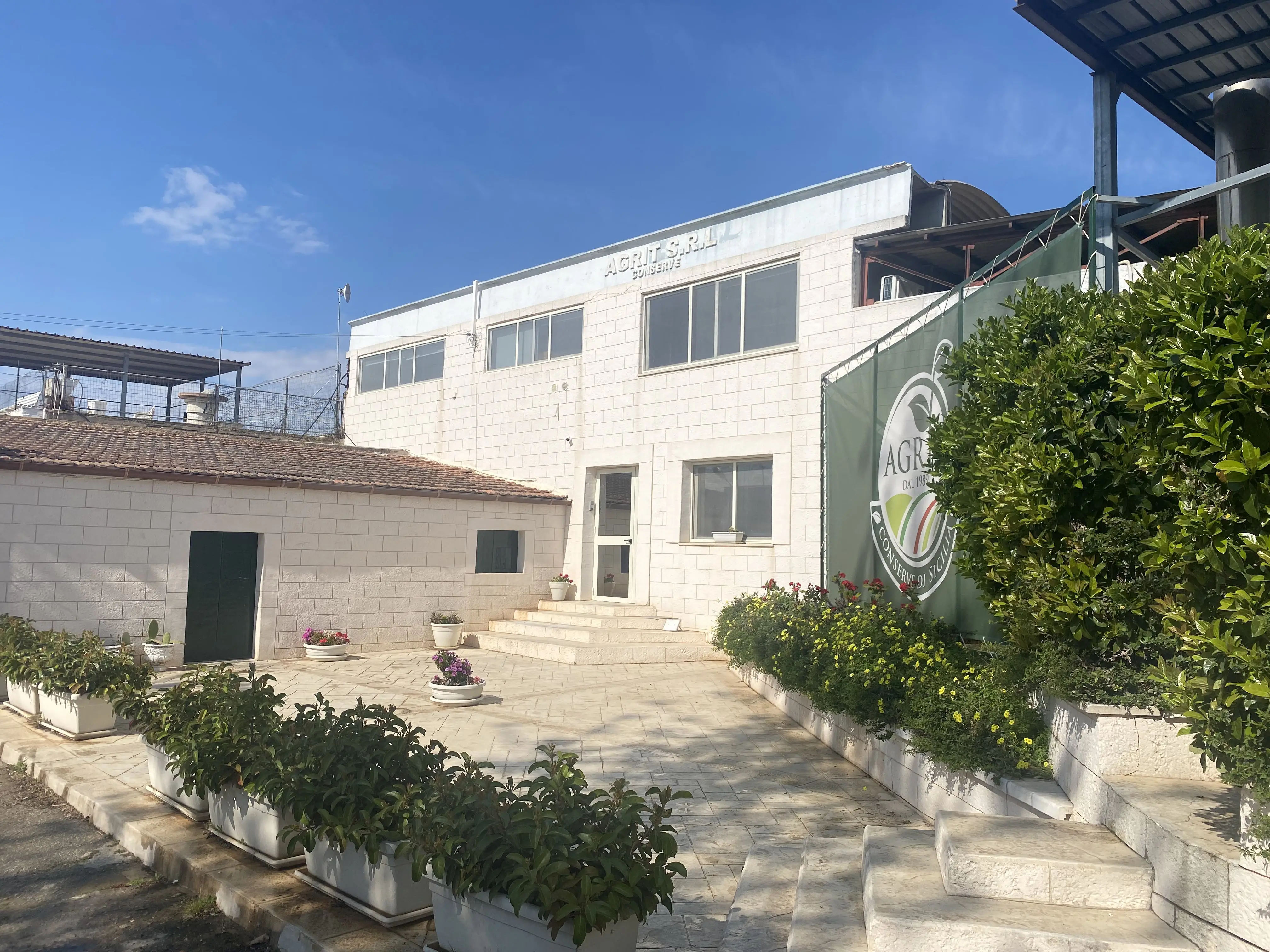 Made in Italy ready to eat food side dishes 190 gr semi dried cherry tomatoes in sunflower oil