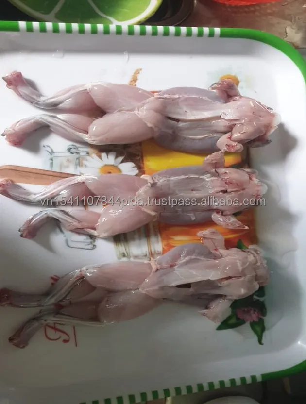 Поднятые органические ножки лягушки с йогой стиль осанки