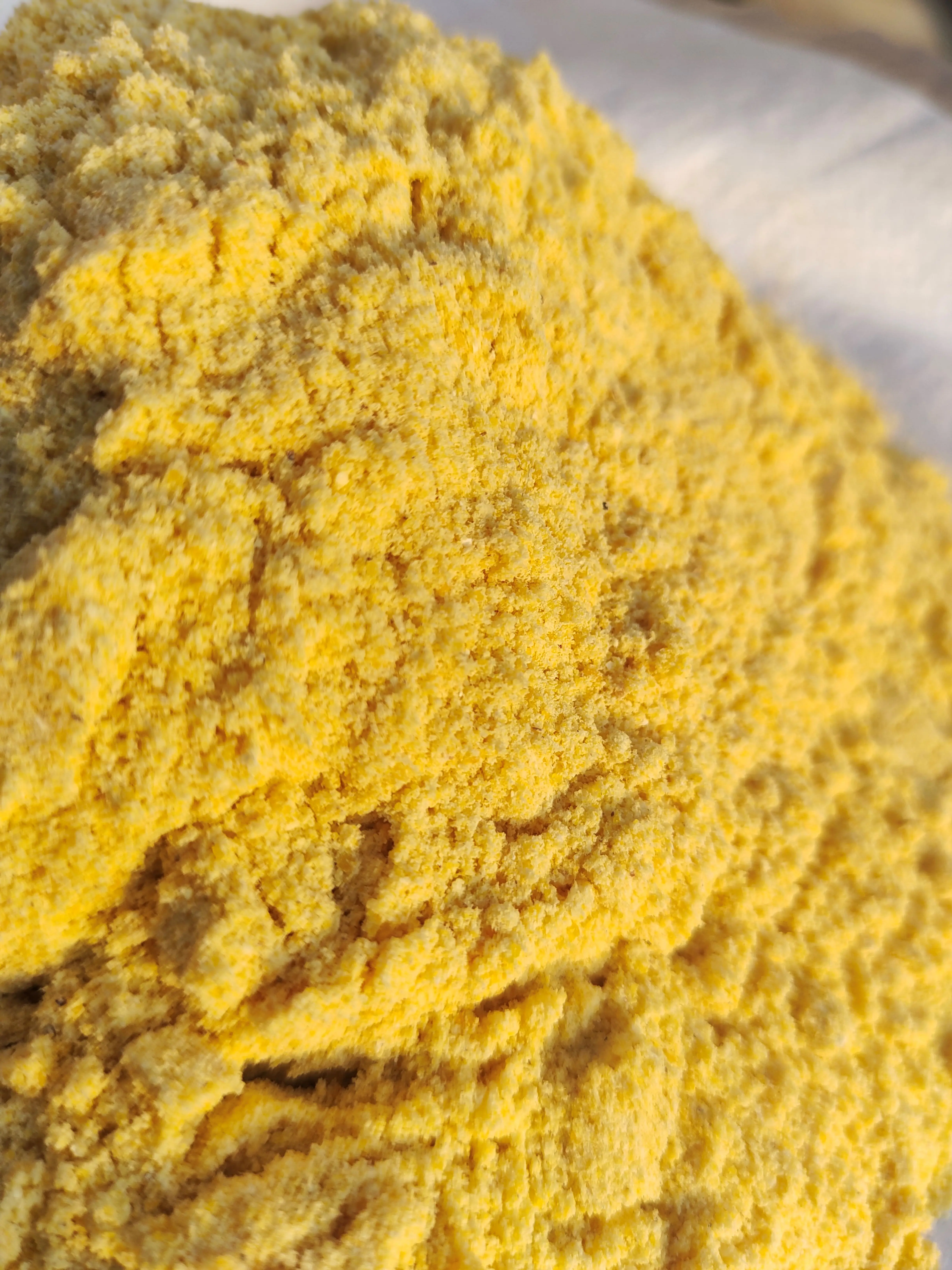organic pure yellow corn maize powder  maize flour for agricultural animal feed from indian manufacturer and exporter
