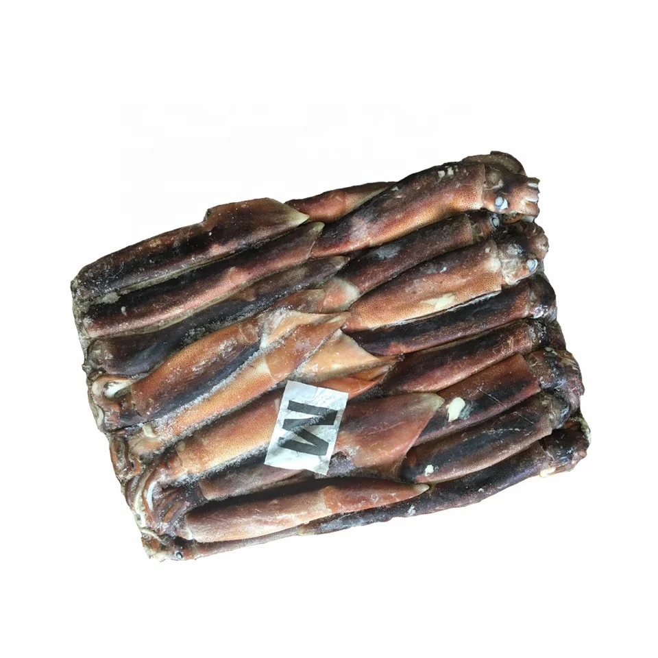 Frozen Illex Squid Wholesale Frozen Illex Squid/ Squid