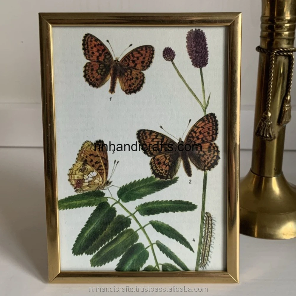 New Design Indian Manufacturer of Aluminium Metal Silver Nickel Plated Rectangular Document Frames Wall Frames Collage Frames Do