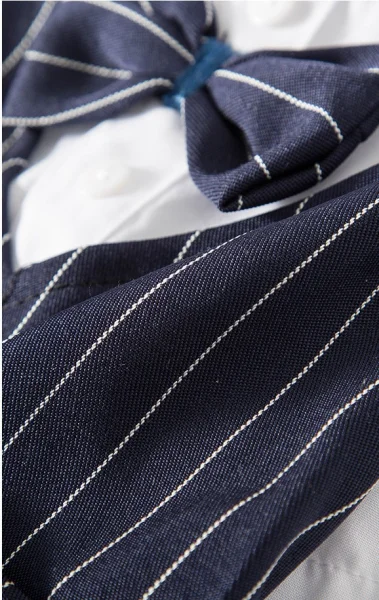 Formal Dog Tuxedos for Special Occasions