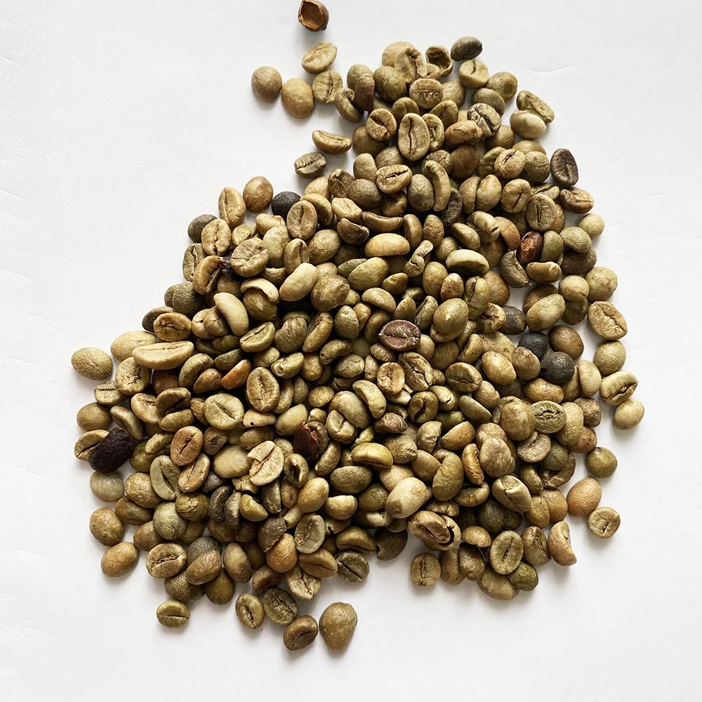 Special Deal Green Coffee Earthy Coffee Bean Speciality Organic Product Seller Vietnam Coffee Supplier