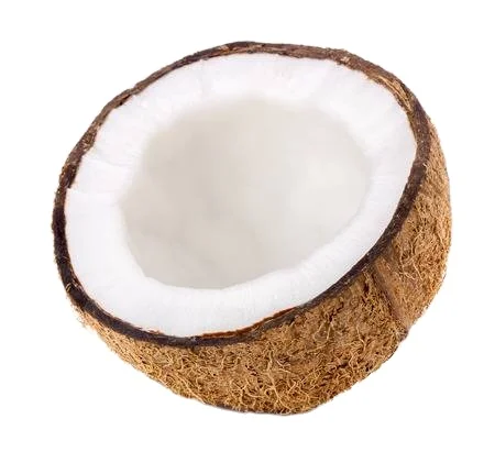 Fresh Mature Coconut for Wholesale / Semi husked mature coconut from Vietnam / Quick Response