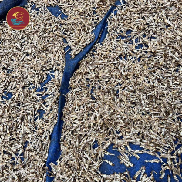 Export Quality Viet Nam Seafood Fresh Dried Anchovy Fish With 24 Months Shelf Life OEM Packaging