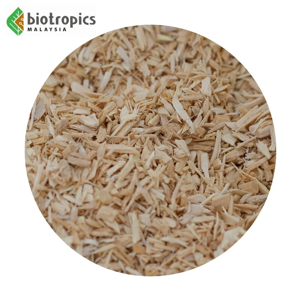 New Arrival Malaysia Tongkat Ali Root Extract Powder PG5 as a Natural Energy Enhancer