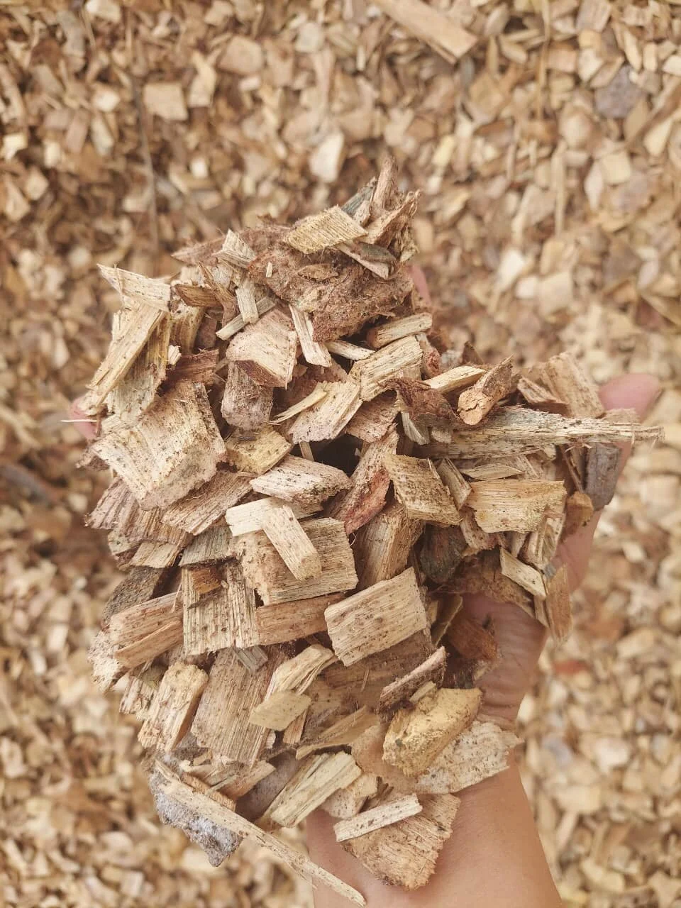 Вьетнамские деревянные стружки, деревянные стружки для курильщика, высокое качество, низкая цена, оптовые поставщики