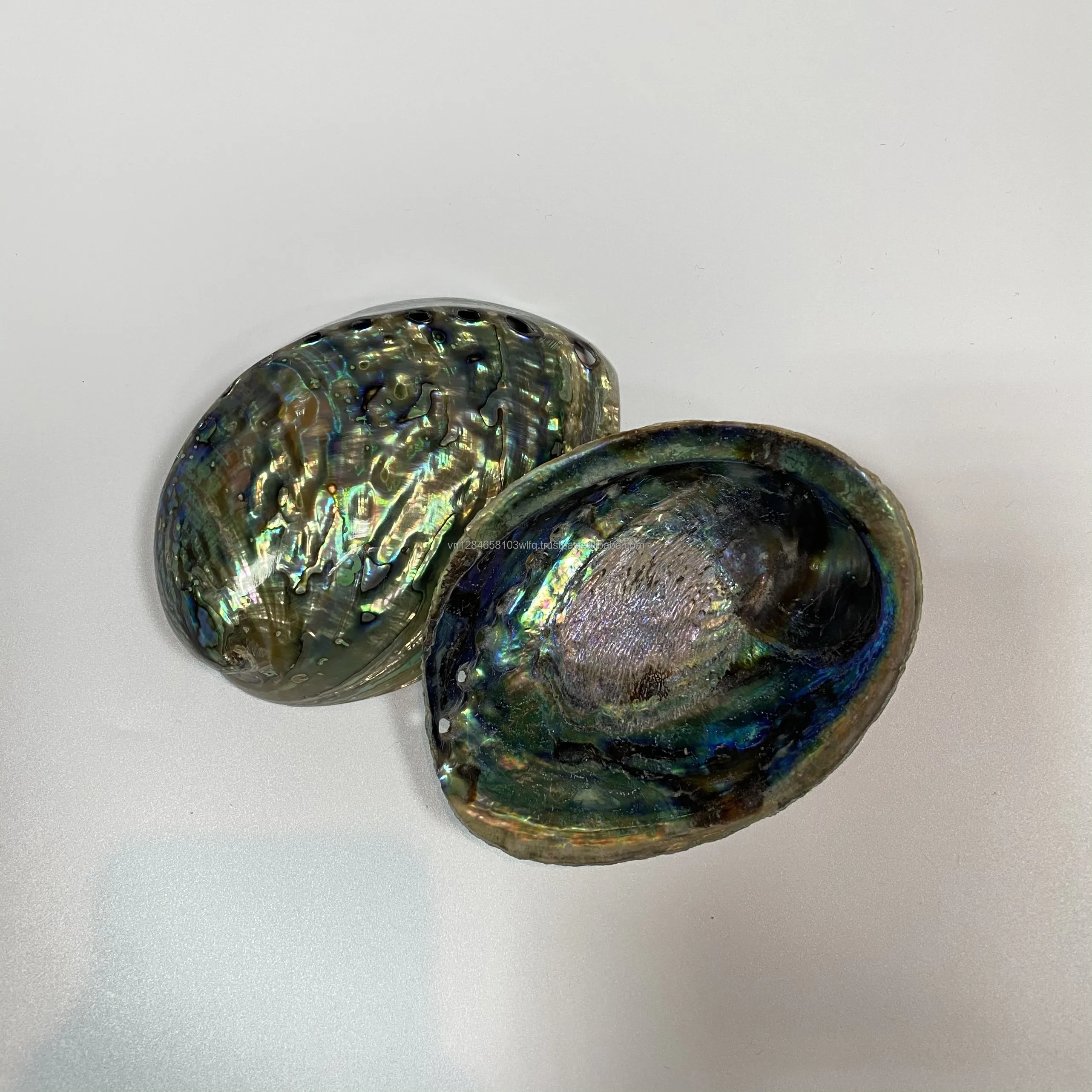 Raw Abalone Shell Art Polished Shell Vietnam Handmade Raw Abalone Decorative Shell Astray - OEM, ODM HJ ASH 001 130mm*50mm