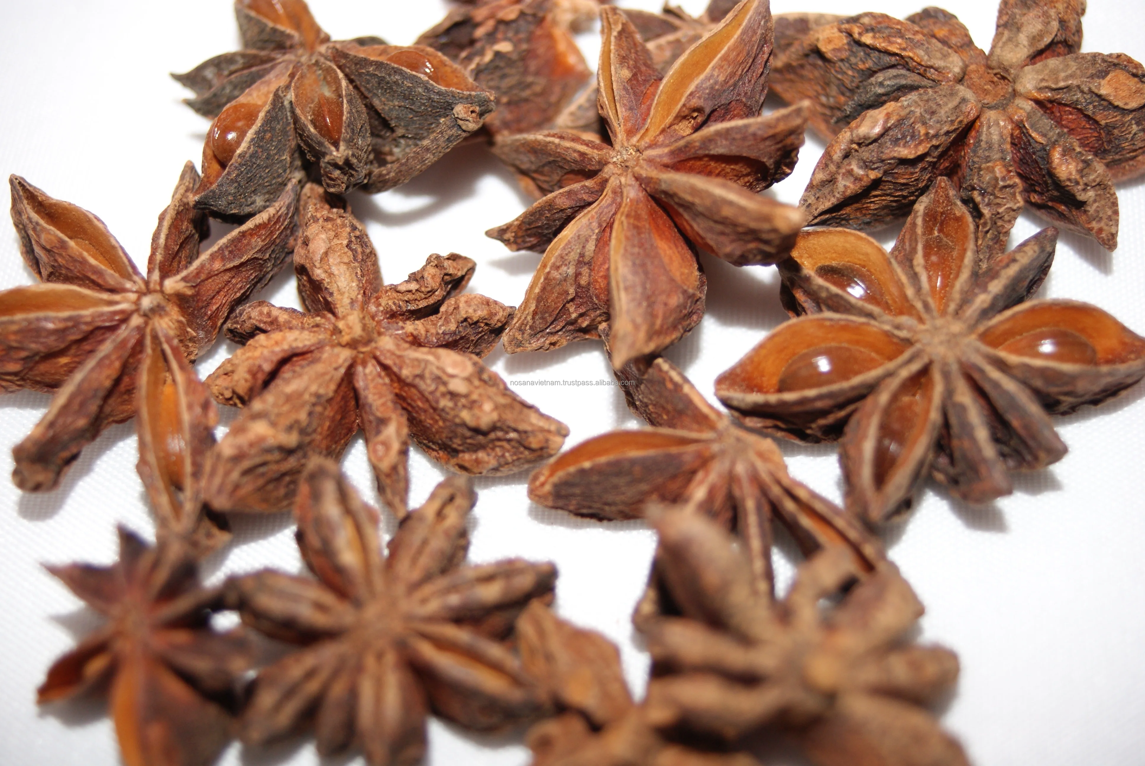 Vietnam Natural Product Best Price High Quality Star Anise