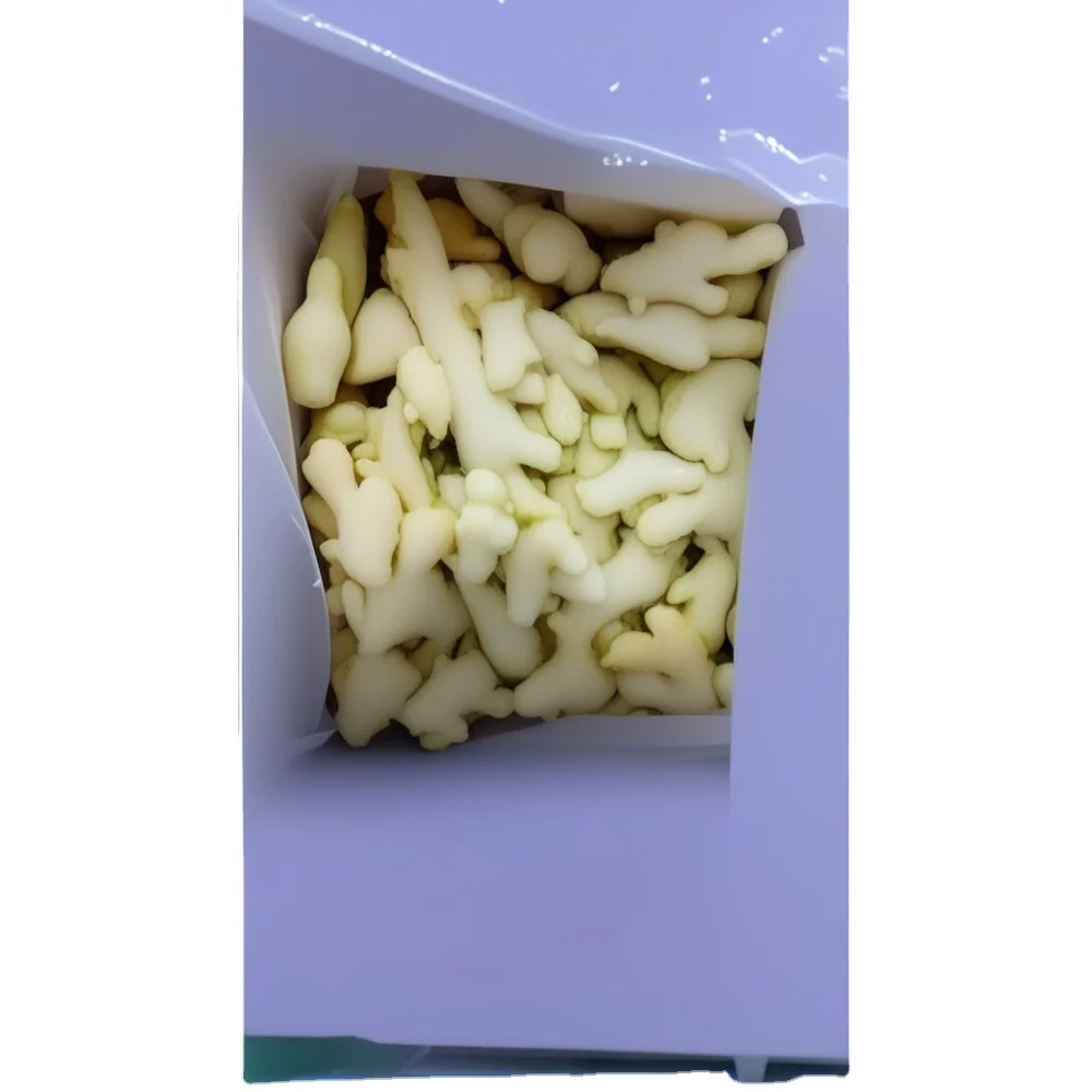 High Quality Delicious Frozen Ginger Fruits and Vegetables from Vietnamese Manufacturer Packaged in Bulk for minus18C Storage